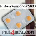 Píldora Anaconda 5000 24